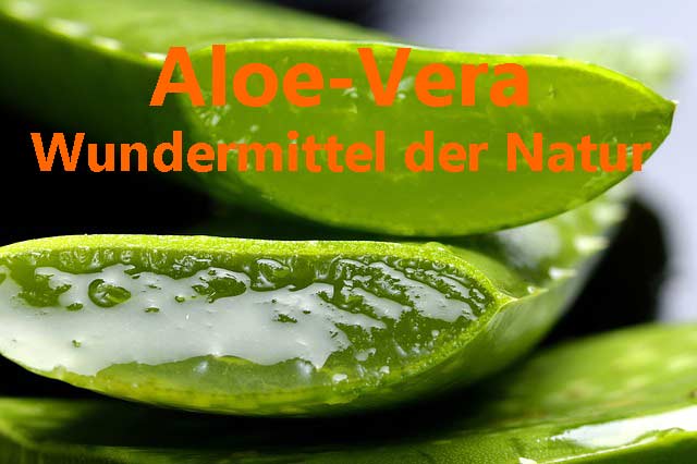 Aloe-Vera 100% Gel und Saft aus Aloeblättern für die Gesundheit Bild