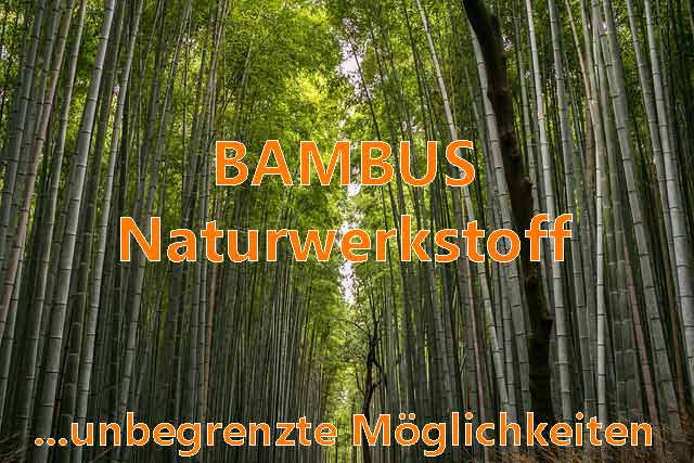 Bambus Parkett aus nachhaltigem Naturbaustoff natürliches Bauen und Wohnen